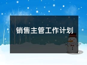 销售主管工作计划