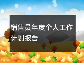 销售员年度个人工作计划报告