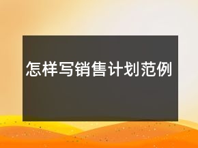 怎样写销售计划范例