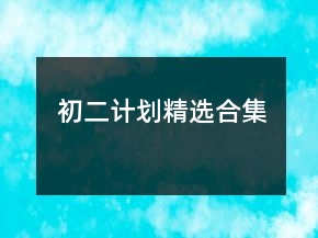 初二计划精选合集