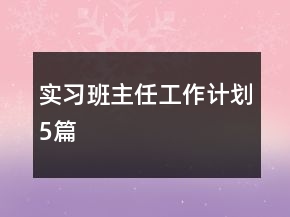 实习班主任工作计划5篇