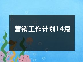 营销工作计划14篇