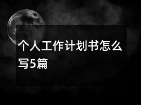 个人工作计划书怎么写5篇