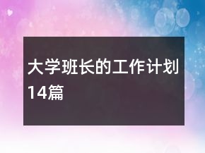 大学班长的工作计划14篇