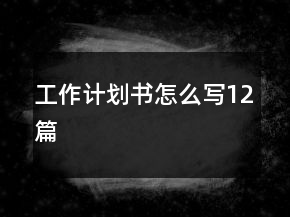 工作计划书怎么写12篇