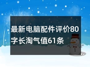 最新电脑配件评价80字长淘气值61条