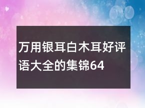 万用银耳、白木耳好评语大全的集锦64条