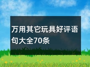 万用其它玩具好评语句大全70条