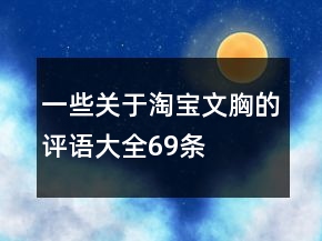 一些关于淘宝文胸的评语大全69条