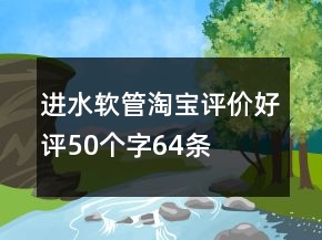 进水软管淘宝评价好评50个字64条