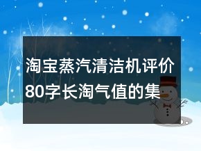 淘宝蒸汽清洁机评价80字长淘气值的集锦70条