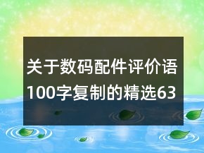 关于数码配件评价语100字复制的精选63条