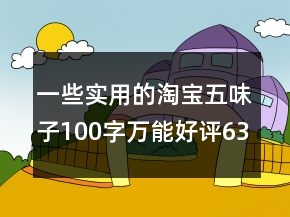 一些实用的淘宝五味子100字万能好评63条