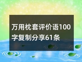 万用枕套评价语100字复制分享61条