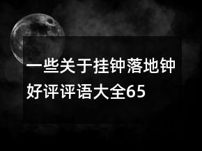 一些关于挂钟、落地钟好评评语大全65条