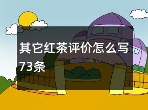 其它红茶评价怎么写73条