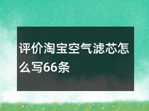 评价淘宝空气滤芯怎么写66条