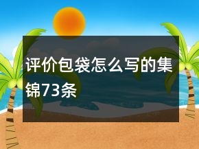 评价包袋怎么写的集锦73条