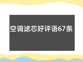 空调滤芯好评语67条
