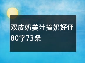 双皮奶、姜汁撞奶好评80字73条