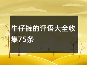 牛仔裤的评语大全收集75条