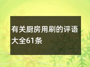 有关厨房用刷的评语大全61条