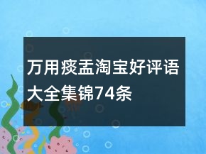 万用痰盂淘宝好评语大全集锦74条