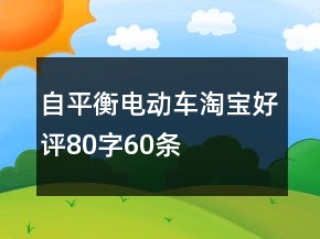 自平衡电动车淘宝好评80字60条