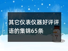 其它仪表仪器好评评语的集锦65条