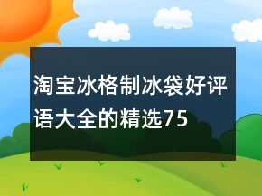 淘宝冰格、制冰袋好评语大全的精选75条