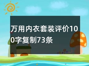 万用内衣套装评价100字复制73条