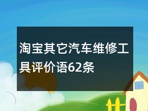 淘宝其它汽车维修、工具评价语62条