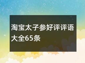 淘宝太子参好评评语大全65条