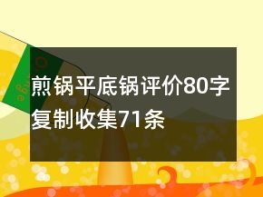 煎锅、平底锅评价80字复制收集71条