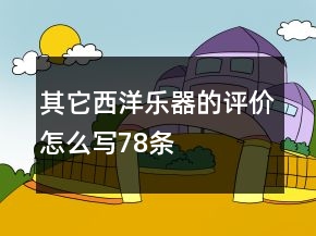 其它西洋乐器的评价怎么写78条