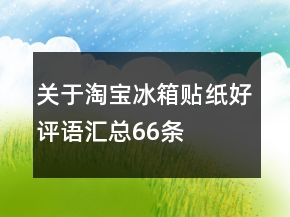 关于淘宝冰箱贴纸好评语汇总66条