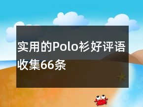 实用的Polo衫好评语收集66条