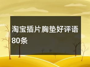 淘宝插片、胸垫好评语80条