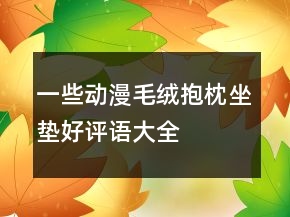 一些动漫毛绒、抱枕、坐垫好评语大全的精选78条