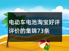 电动车电池淘宝好评评价的集锦73条