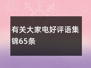 有关大家电好评语集锦65条