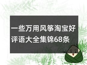 一些万用风筝淘宝好评语大全集锦68条