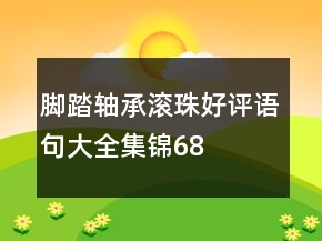 脚踏、轴承、滚珠好评语句大全集锦68条