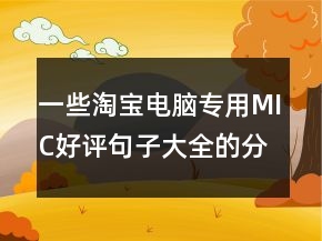 一些淘宝电脑专用MIC好评句子大全的分享78条