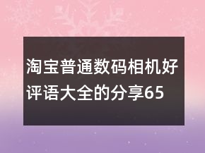 淘宝普通数码相机好评语大全的分享65条