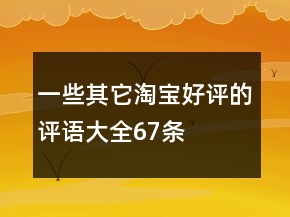 一些其它淘宝好评的评语大全67条
