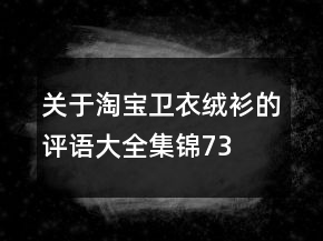 关于淘宝卫衣、绒衫的评语大全集锦73条