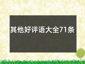 其他好评语大全71条