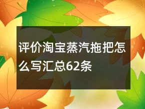 评价淘宝蒸汽拖把怎么写汇总62条