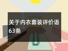 关于内衣套装评价语63条
